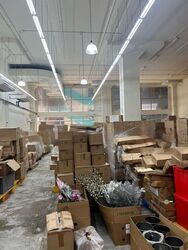 Lam Soon Industrial Building (D23), Factory #451237571